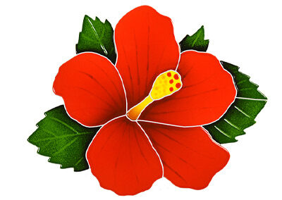Hibiscus – Red – 9 in x 10 in