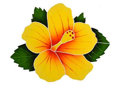 Hibiscus – Yellow – 9 in x 10 in