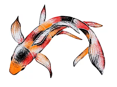 Koi Fish (Variety A) – 7 in x 10 in