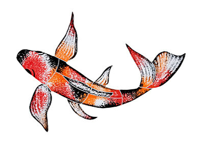 Koi Fish (Variety C) – 7 in x 10 in