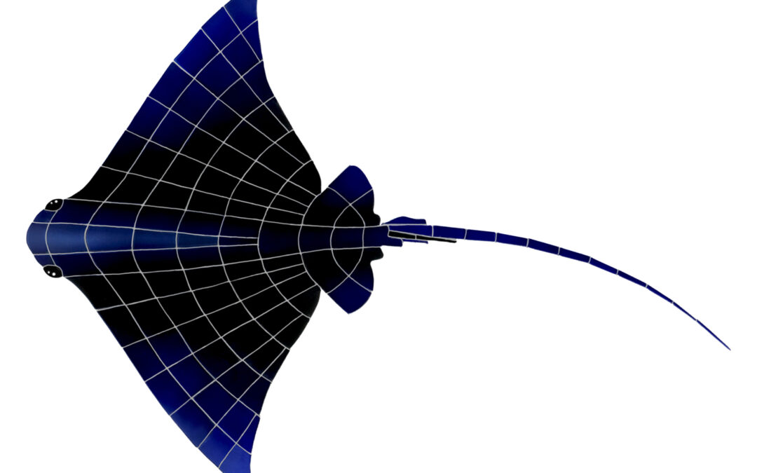 Large Ray – 45×32