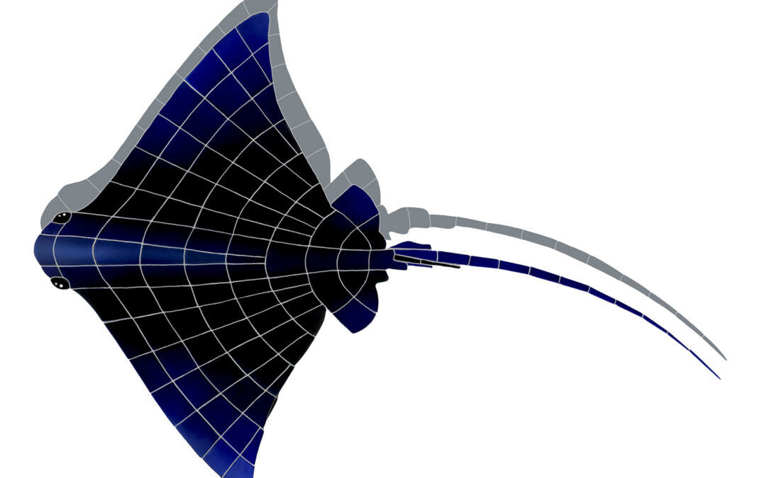 Large Ray with Shadow – 45×34