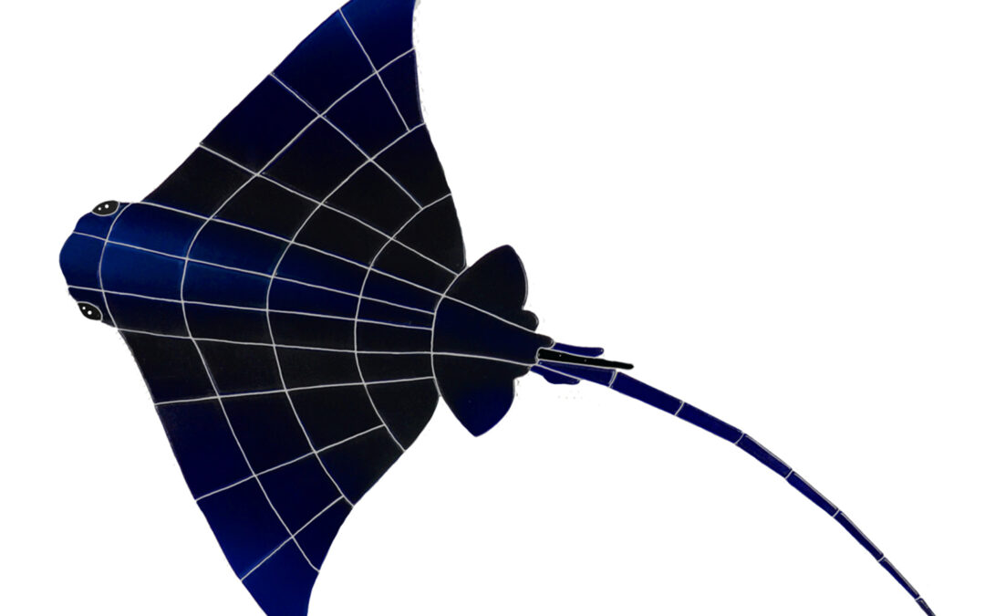 Medium Ray – 29×20