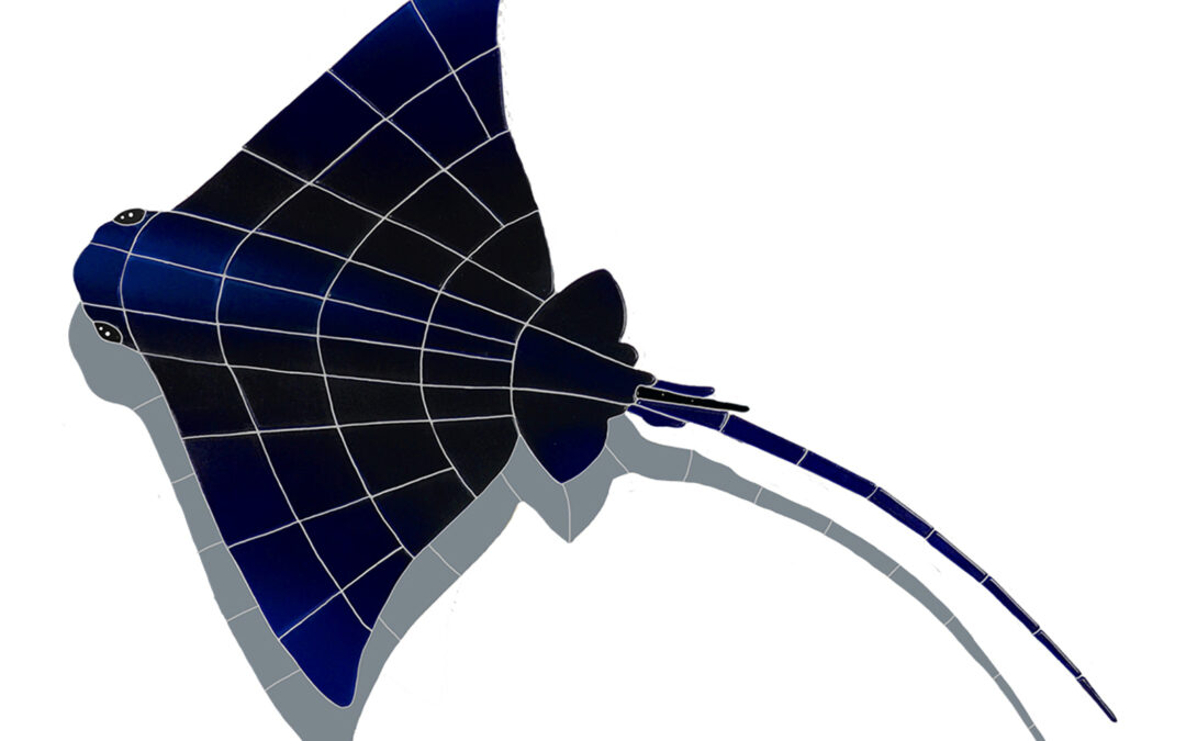 Medium Ray with Shadow – 29×22