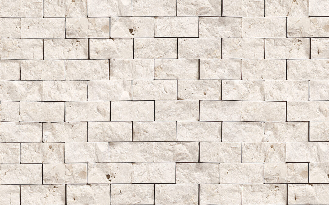 Shell Stone – Split Face