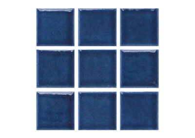USPT – Caribbean Blue 2×2